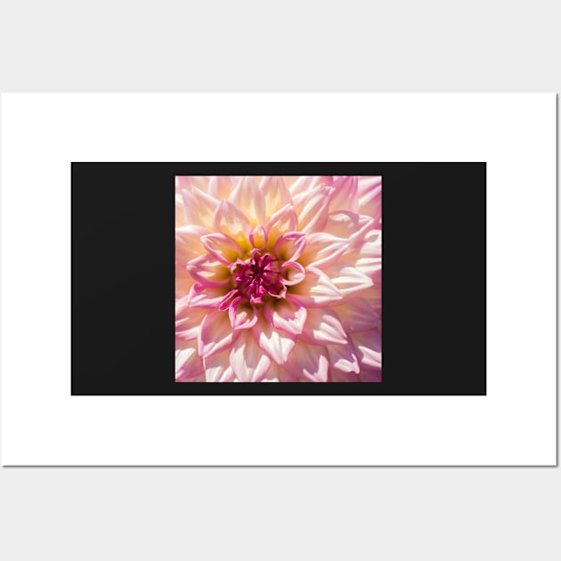 Pink Petal Flower Wall Art by mehdime